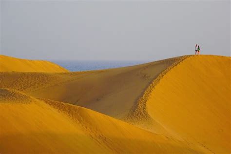 Guía gay de Maspalomas: hoteles, playas, bares y。